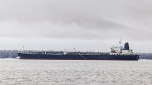 Thumbnail for 6831743