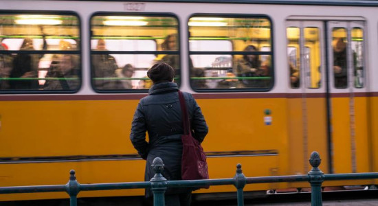 Thumbnail for 6831757