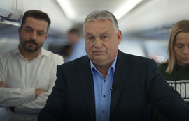 Thumbnail for 6831795