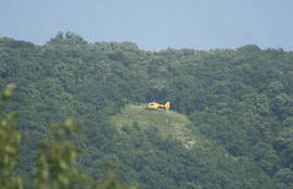 Thumbnail for 6831803