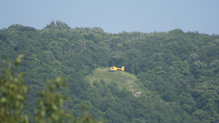 Thumbnail for 6831803