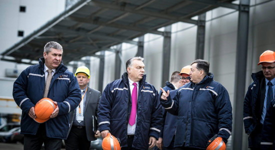 Thumbnail for 6831858