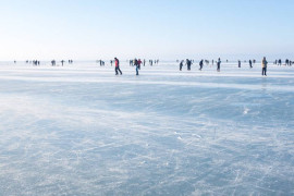 Thumbnail for 6832014