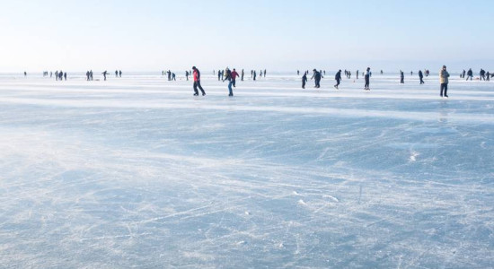 Thumbnail for 6832014