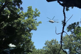 Thumbnail for 6832028