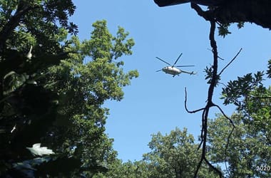 Thumbnail for 6832028