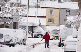 Thumbnail for 6832149