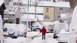 Thumbnail for 6832149