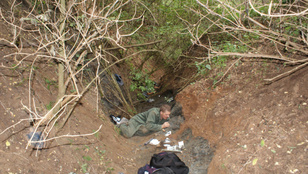 Thumbnail for 6832229