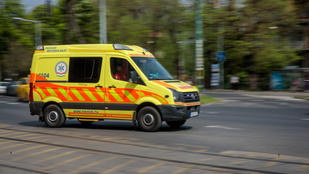 Thumbnail for 6832250