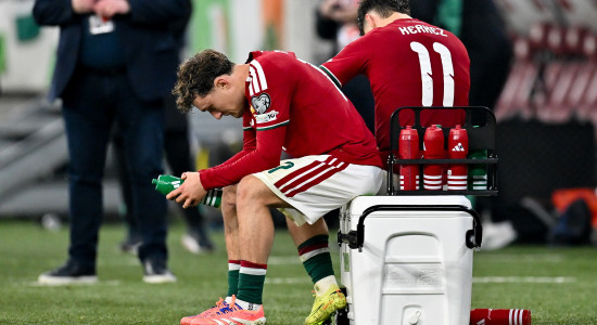 Thumbnail for 6832272