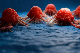 Thumbnail for 6832339