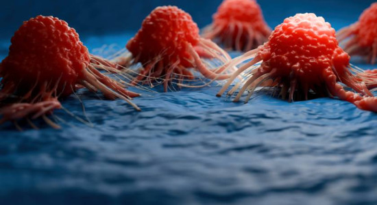 Thumbnail for 6832339