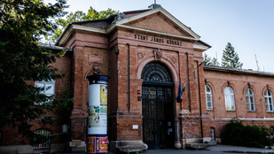 Thumbnail for 6832368