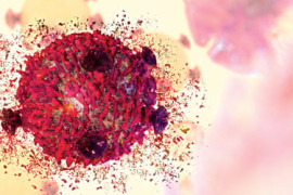 Thumbnail for 6832728