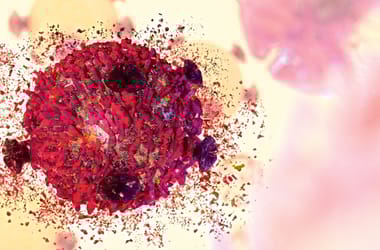 Thumbnail for 6832728