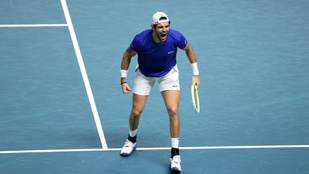 Thumbnail for 6832841