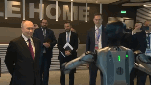 Thumbnail for 6832843