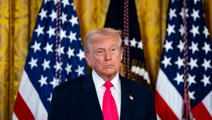 Thumbnail for 6833041