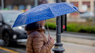 Thumbnail for 6833051