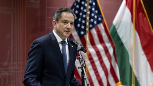 Thumbnail for 6833071