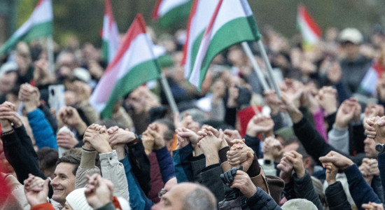 Thumbnail for 6833124