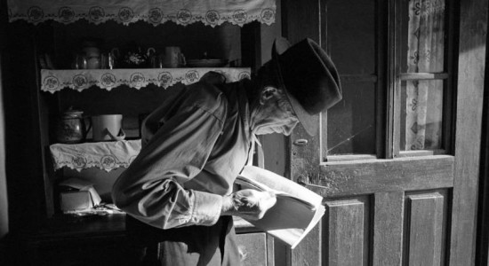 Thumbnail for 6833255