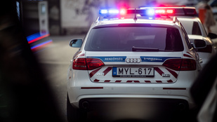 Thumbnail for 6833293