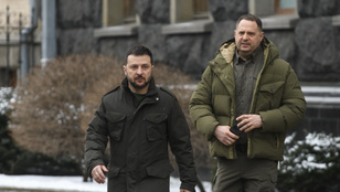 Thumbnail for 6833298