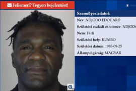 Thumbnail for 6833402