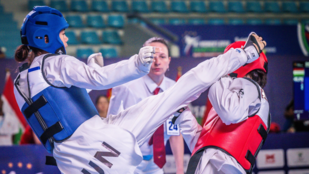 Thumbnail for 6833405