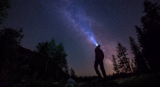 Thumbnail for 6833429