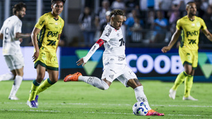 Thumbnail for 6833508