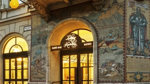 Thumbnail for 6833515