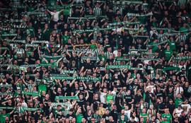 Thumbnail for 6833530