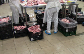 Thumbnail for 6833551