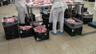 Thumbnail for 6833551