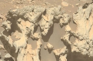 Thumbnail for 6833696