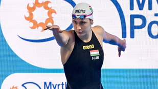 Thumbnail for 6833806