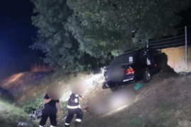 Thumbnail for 6833931