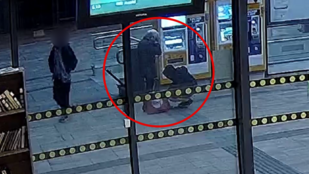 Thumbnail for 6833999