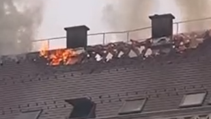 Thumbnail for 6834026