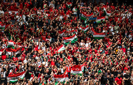 Thumbnail for 6834085