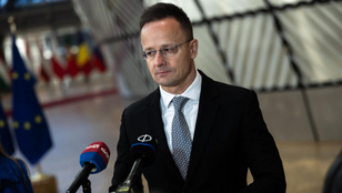 Thumbnail for 6834106