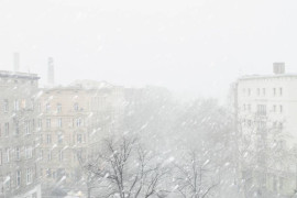 Thumbnail for 6834117