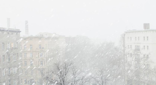 Thumbnail for 6834117