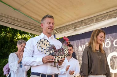 Thumbnail for 6834132