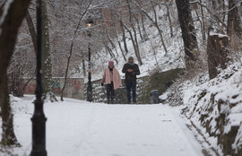 Thumbnail for 6834200