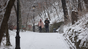 Thumbnail for 6834200