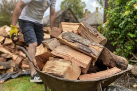 Thumbnail for 6834330